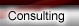 consulting